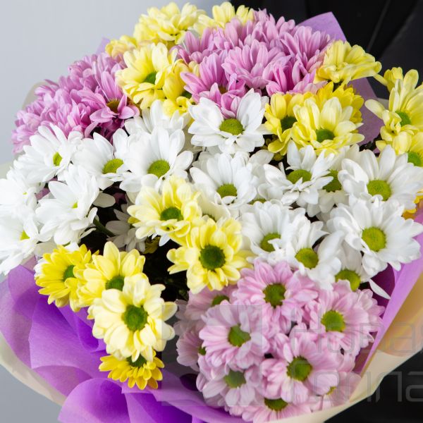 Букет Лучики солнца 9 ромашковых хризантем микс
