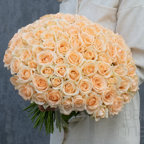 Букет 101 кремовая роза 40 см