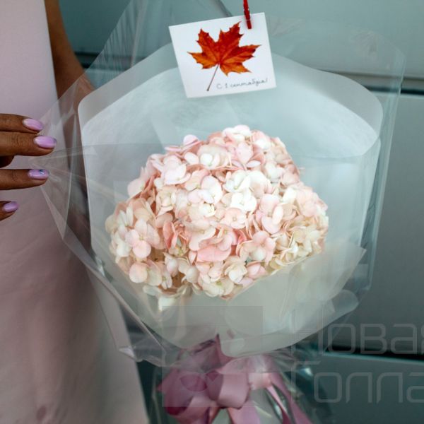 Букет Нежная гортензия