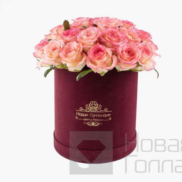 25 розовых роз в бархатной коробке LUX