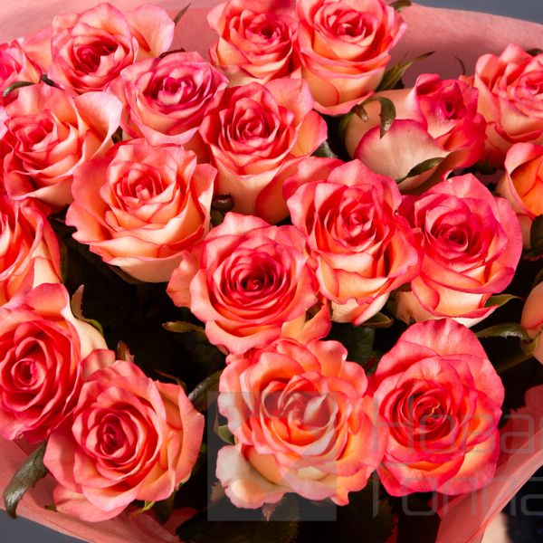 Букет 21 розовая роза  60 см