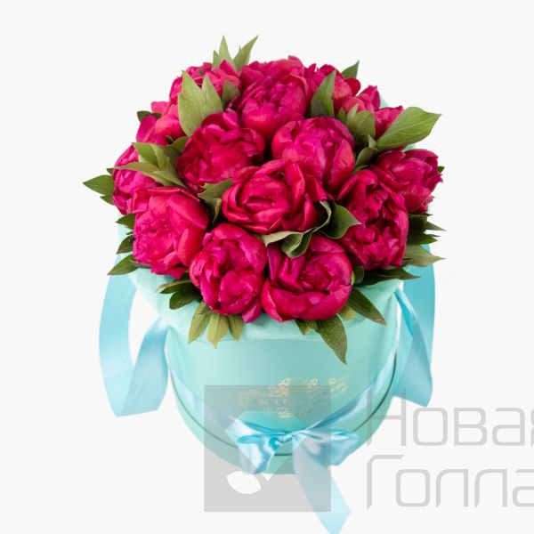 15 малиновых пионов в красной шляпной коробке №796