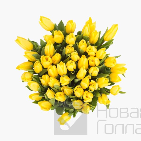 59 желтых тюльпанов в большой черной шляпной коробке №513