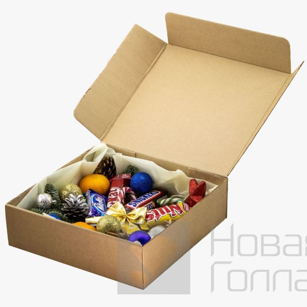 Новогодний подарок-13