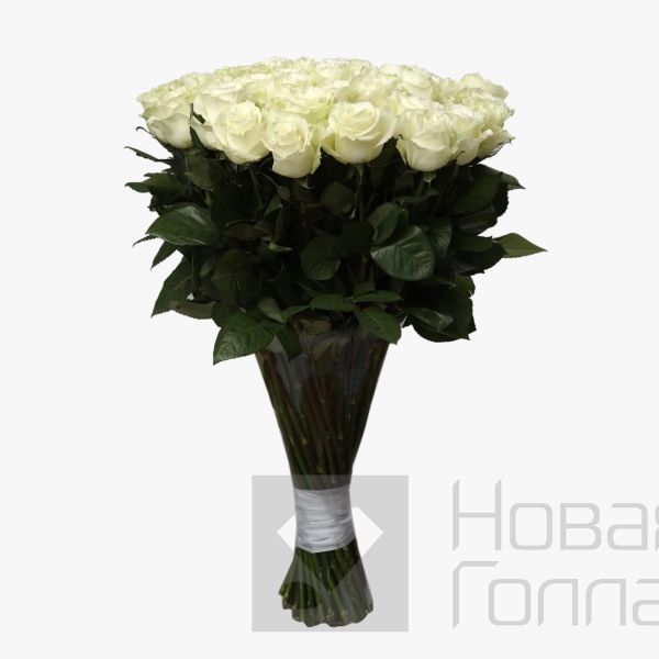 Букет 51 белая роза Премиум Эквадор 70 см.