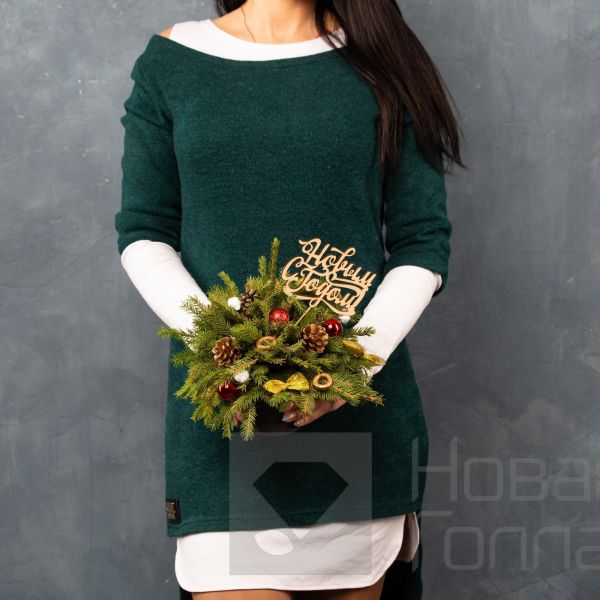Ель в кашпо Золотая шишка