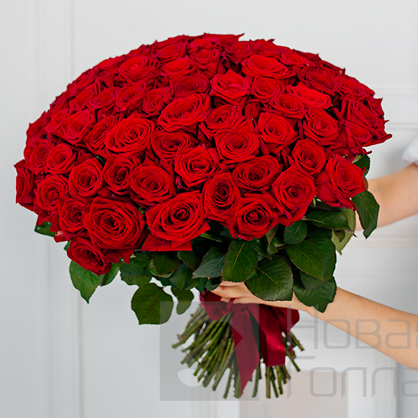 Букет 101 красная роза 50 см