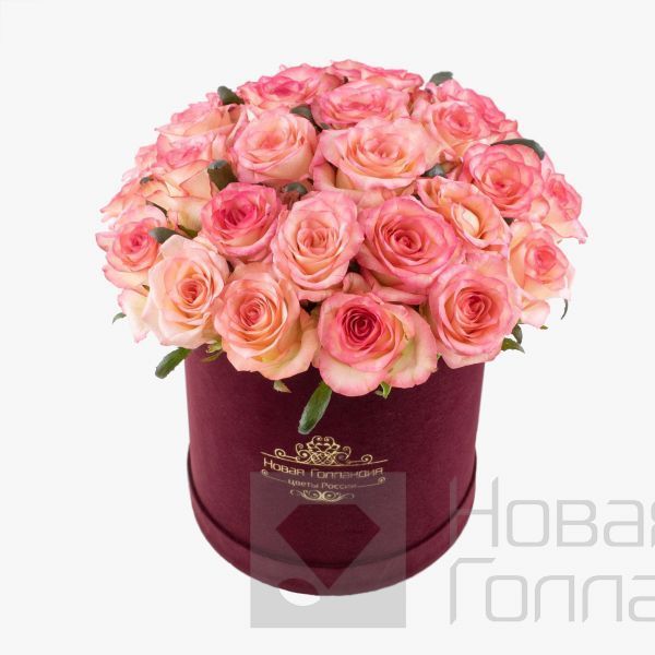 25 розовых роз в бархатной коробке LUX