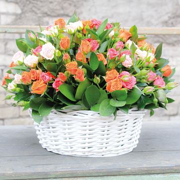 Композиция из 35 кустовых роз микс в корзине