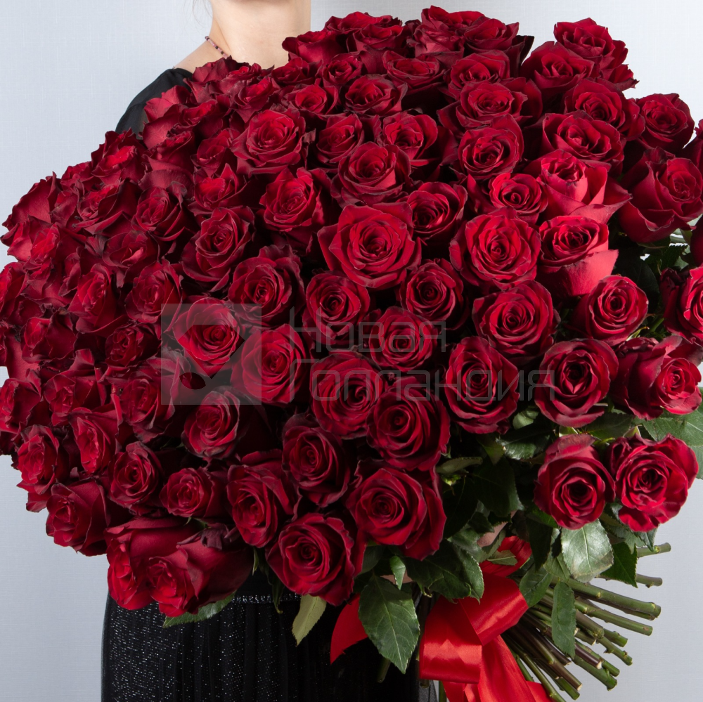 Букет Императрицы 101 красная роза 60 см